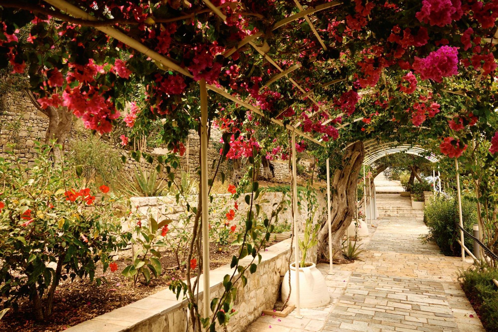 Agali Hotel Paxos Ozias Exterior photo